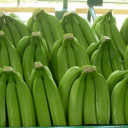 Imagen de Bananas