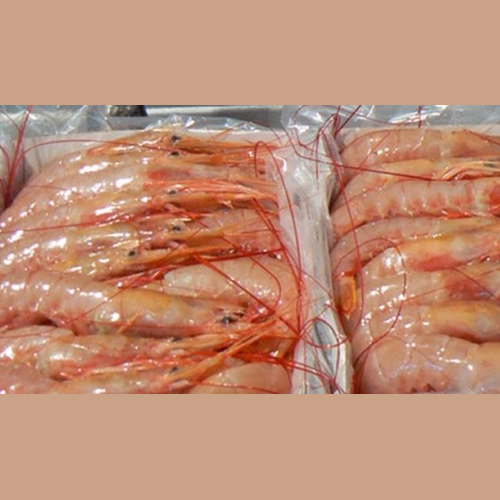 Imagen de Langostino