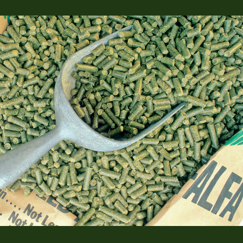 Imagen de Alimento balanceado de alfalfa, avena y trigo